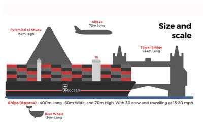 Container Ships & TEU Infographic