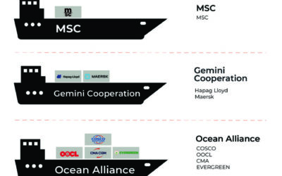 2025 Carrier Alliance Infographic