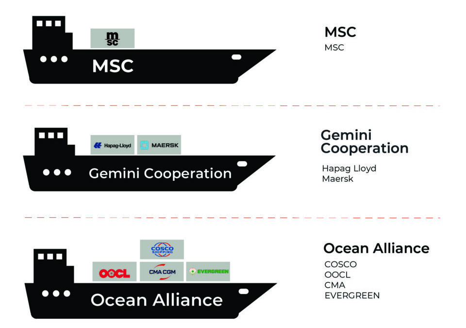 2025 Carrier Alliance Infographic