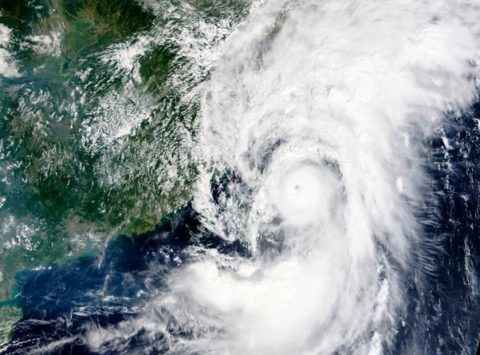 Typhoon closes terminals at Shanghai and Ningbo ports - Uniserve Group