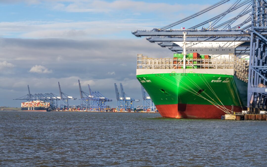 Shipping carriers increase blank sailings to tighten capacity 