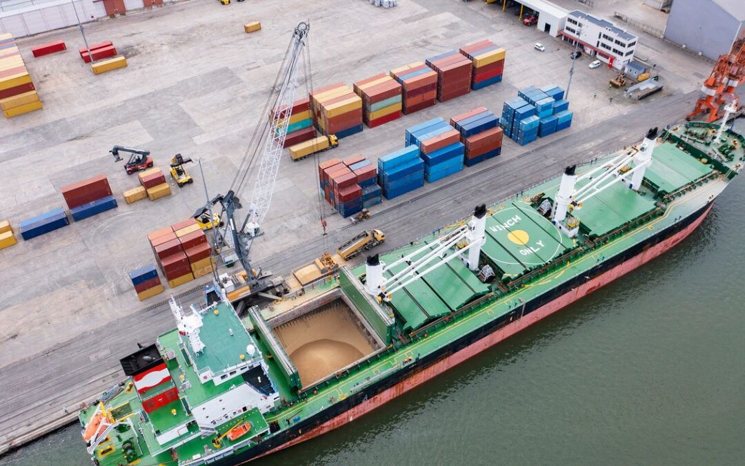 Overview of the sea freight shipping process