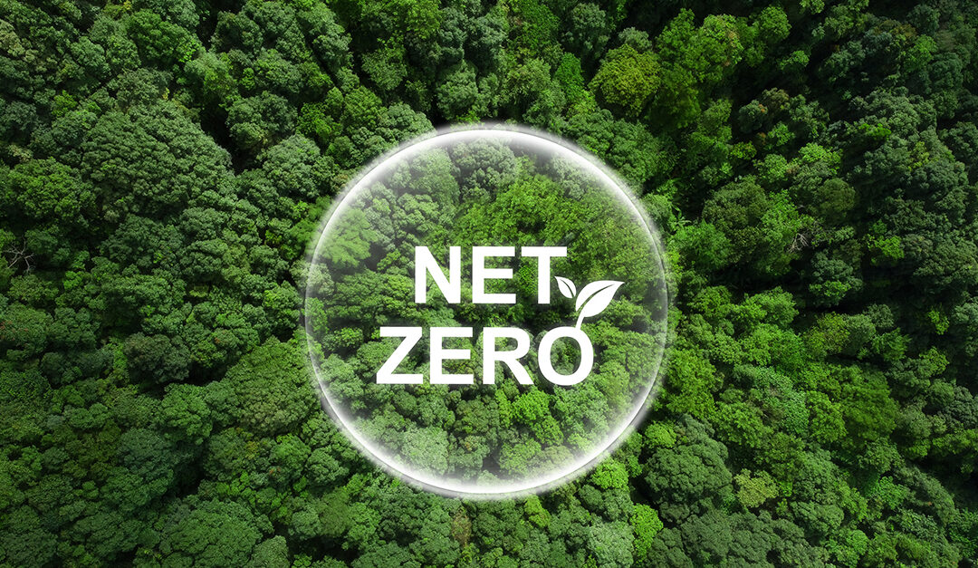 SBTi Releases Draft of Corporate Net-Zero Standard Version 2: Key Changes for Businesses