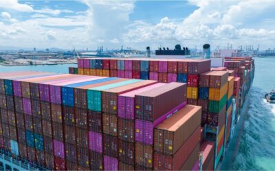 Sea freight Containers: How to choose the right one for you