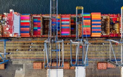 What Affects Sea Freight Costs? Key Factors UK Businesses Should Understand