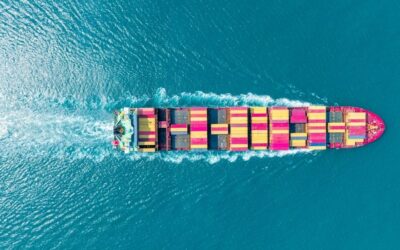 What Is Sea Freight Shipping? How the Process Works for UK Businesses